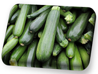 courgette